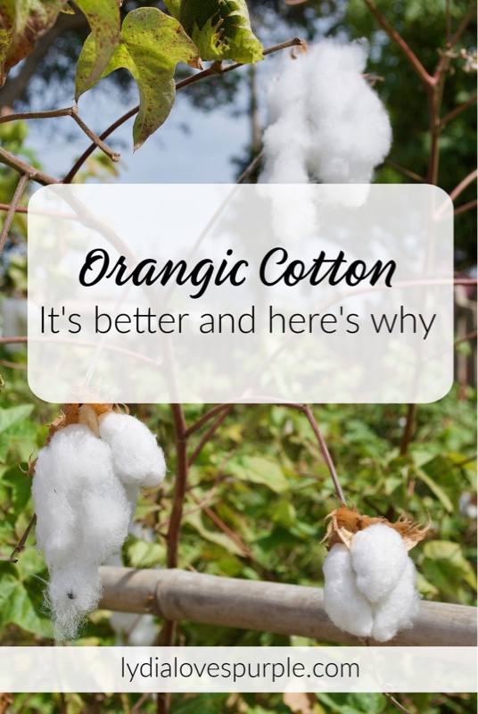 Organic Cotton: It’s Better and Here’s Why!