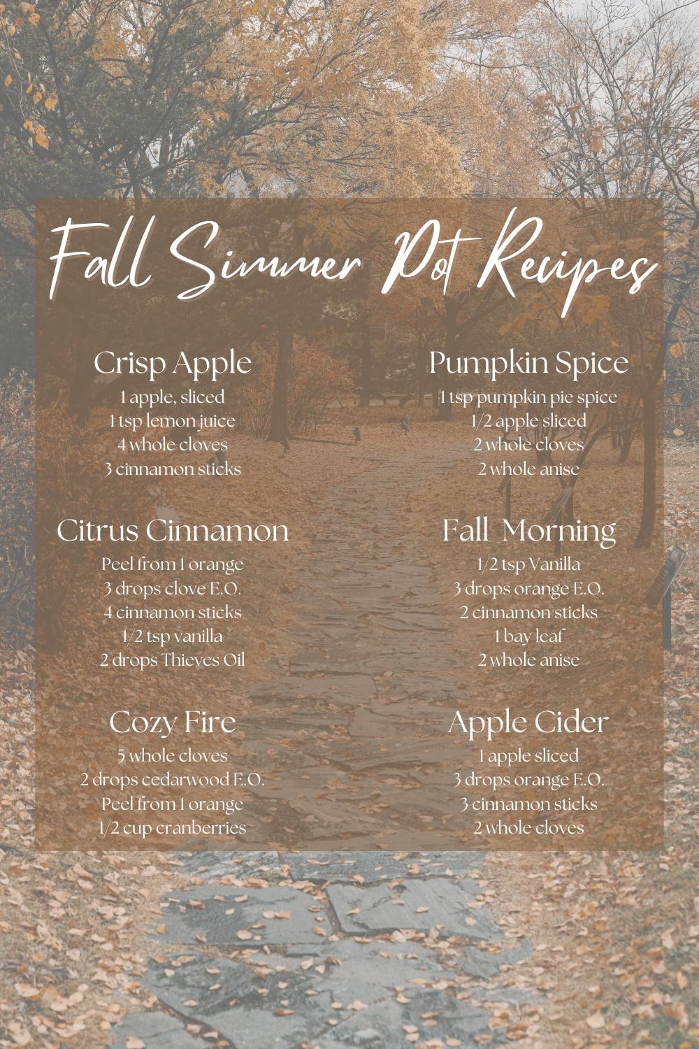 Fall Simmer Pot Recipes